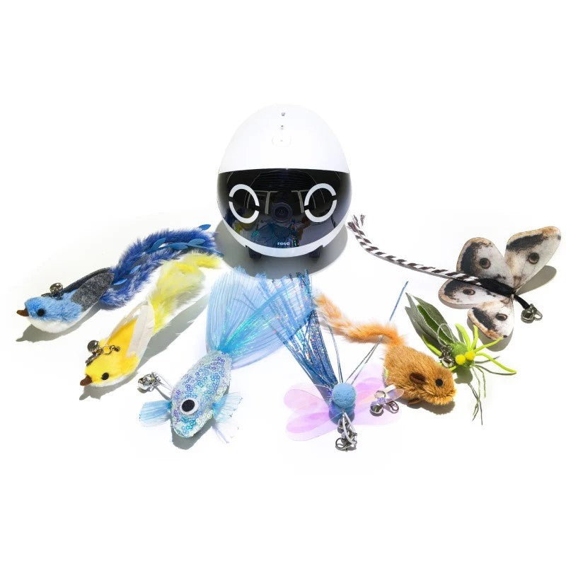 EBO Air2 Plus 家庭向けプレミアム見守りロボット