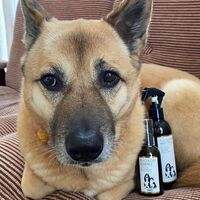 フコロジーミストデオ  消臭保湿静音スプレー 200ml 日本製