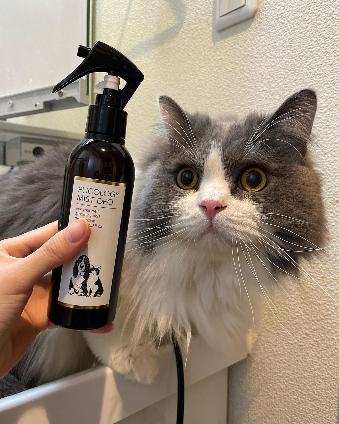 フコロジーミストデオ  消臭保湿静音スプレー 200ml 日本製