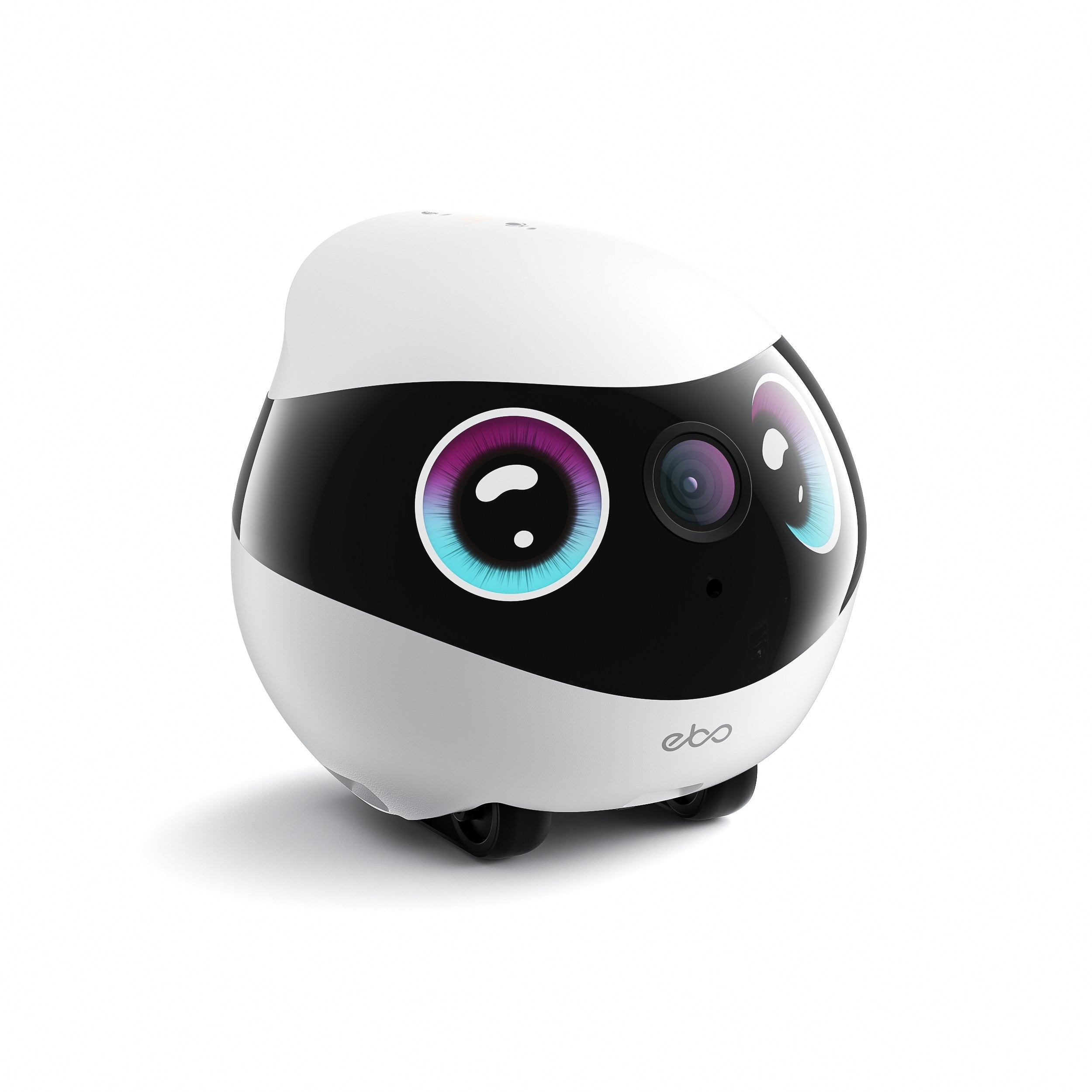 EBO Mini Series – WTP.Japan
