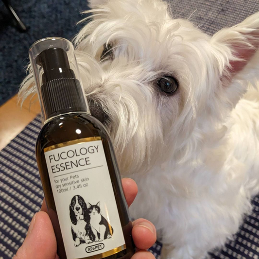 フコロジーエッセンス ペット用保湿美容液 100ml 日本製