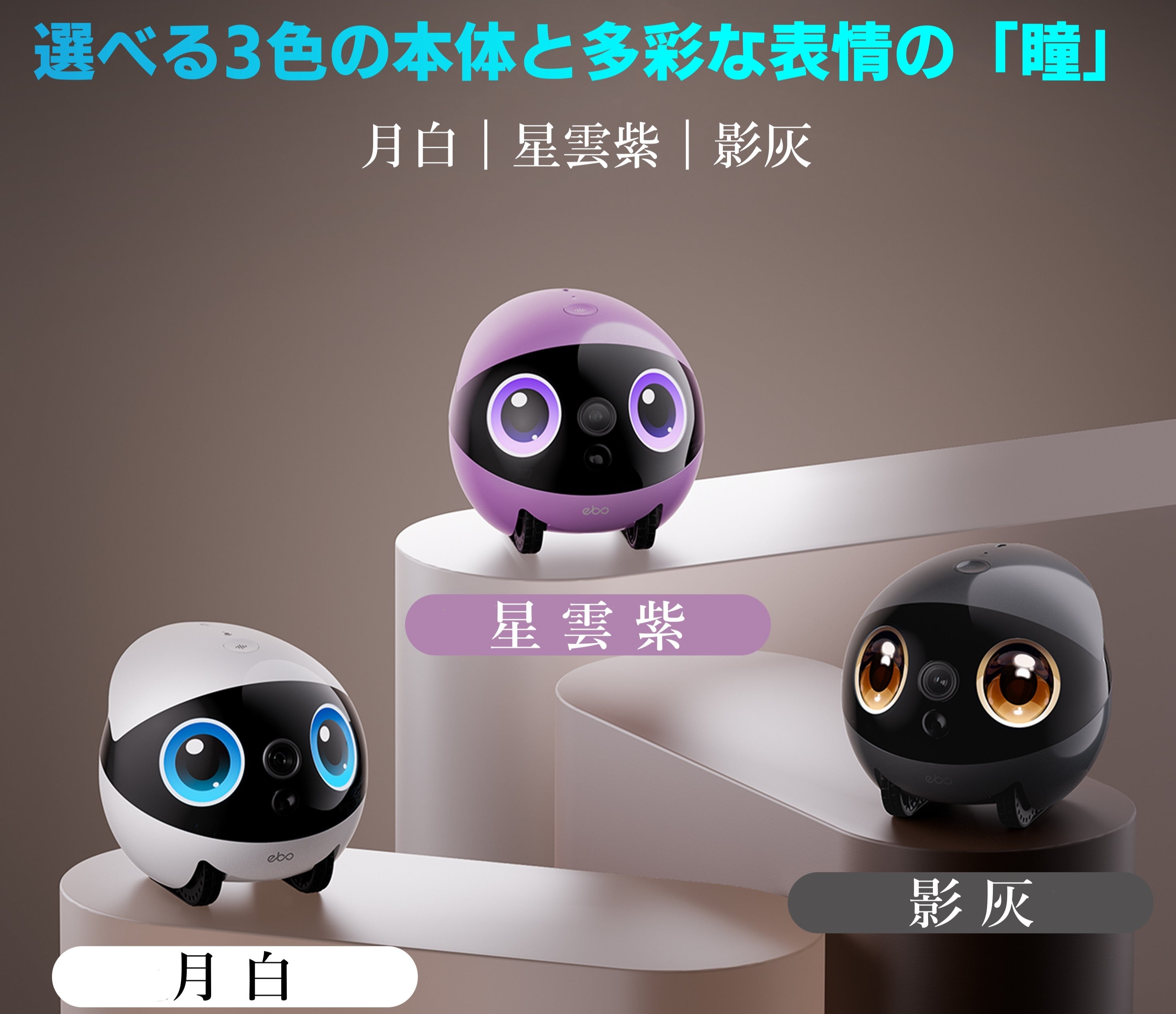 家庭用見守りカメラ「EBO」「ROLA」で家族・ペットとの絆を深め