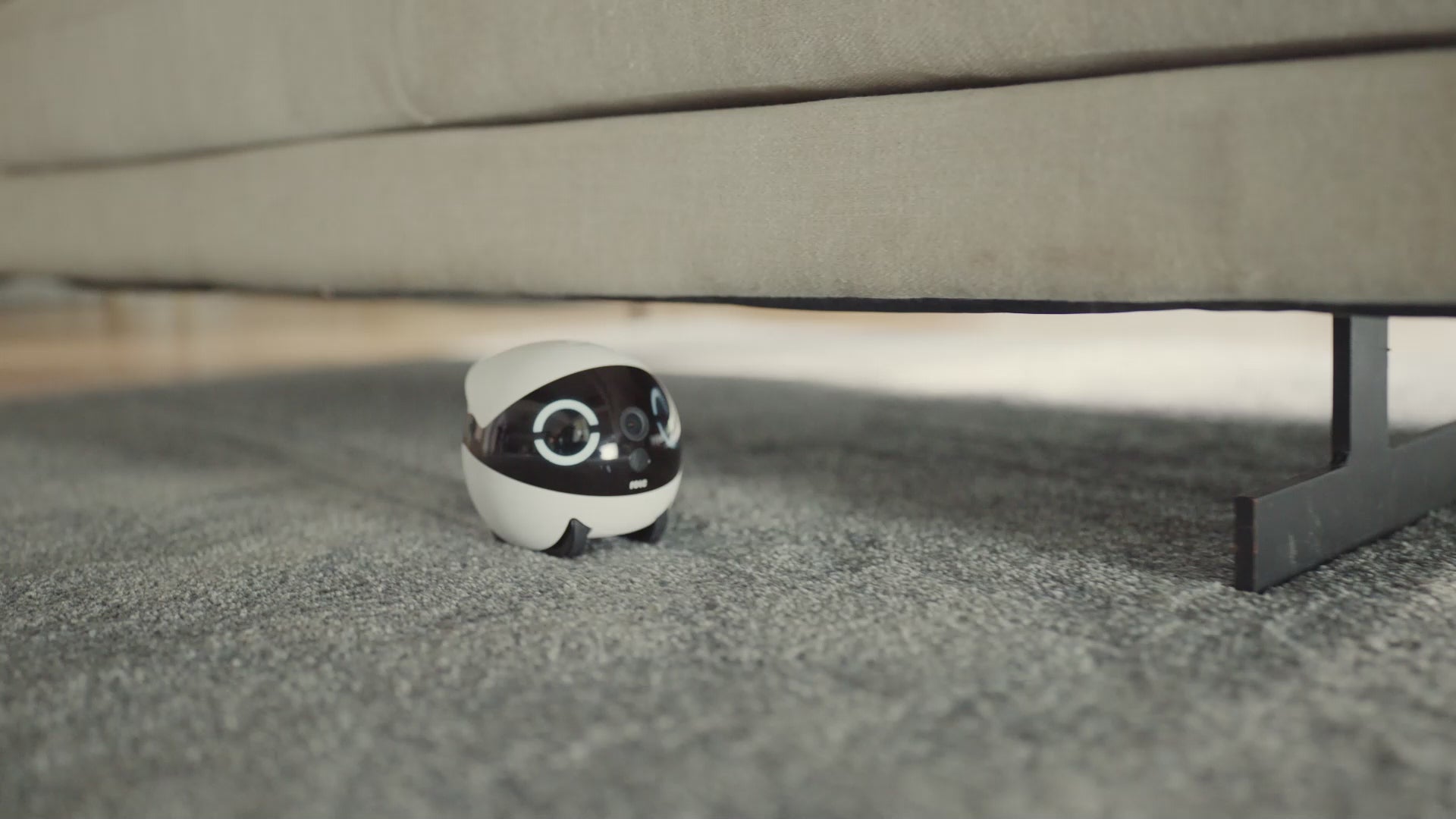 掃除機・クリーナー anabot ROLA Mini Companion Robot ROLA Mini 愛犬・愛猫・家族のコンパニオンロボット – WTP.Japan