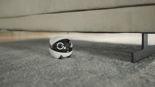 ROLA Mini 愛犬・愛猫・家族のコンパニオンロボット